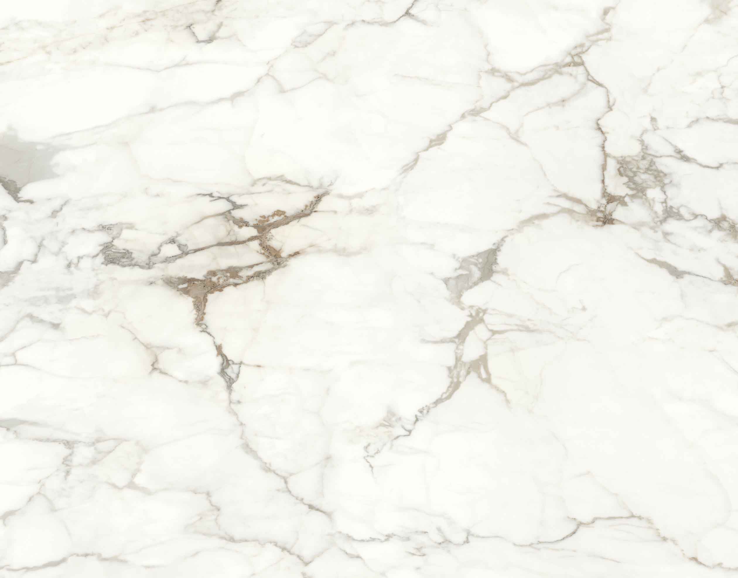 (S)STATUARIO GOLD 鱼肚金-